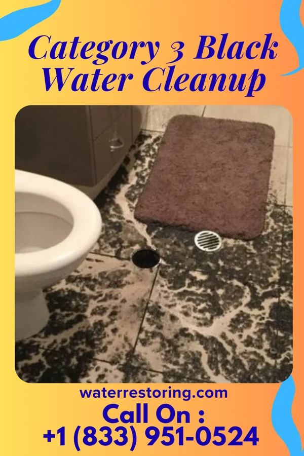 Category 3 Black Water Cleanup in Shickley, NE