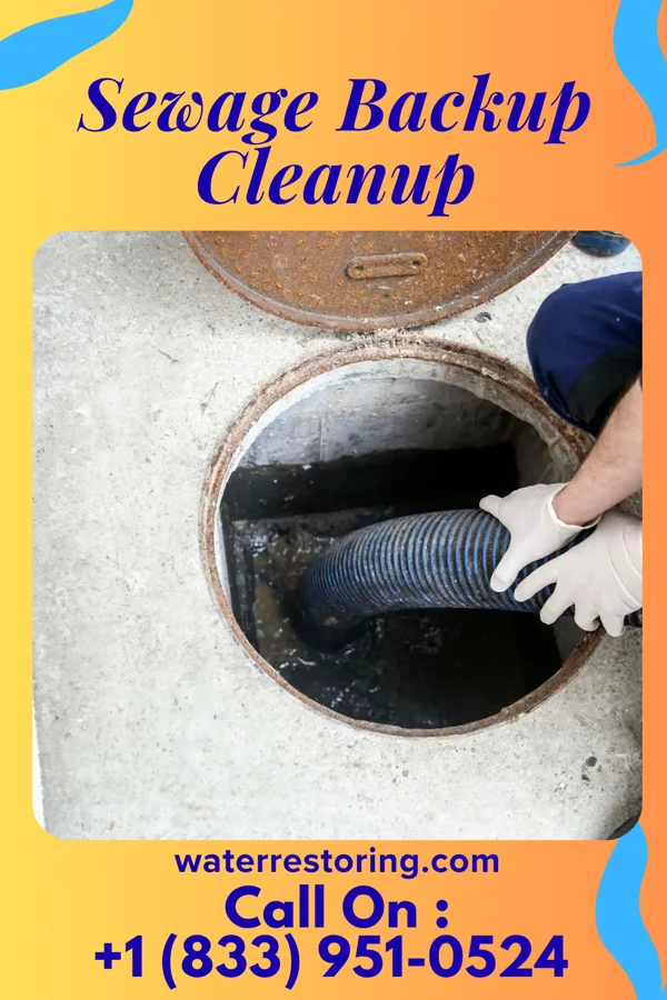 Sewage Backup Cleanup in Shickley, NE